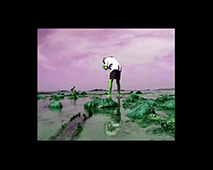 Frédéric Chopin, vidéographies, créations, Saint-Malo, Paris, Rennes, Carolles, Rouen, Le Mans, construction du silence, note, matériau, dernier sceau de l'art, écriture audiovisuelle, écriture synoptique ou scénaristique, dénotation et rythme, peindre, Nocturne Opus 55 N°1, de l'écriture, Valse Opus 64 N°1, de passage, Nocturne Opus 27 N°1, la pluie, nocturne en do mineur 27 N°1, le Léviathan, prélude opus 28 N°2, trois points, Polonaise en sol mineur, de la maison, prélude opus 28 N°4.