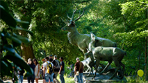 Sculpture Les Cerfs au repos de l'artiste Georges Gardet, relevé numérique Créaform, Theillay, Etapes de Fonderie Coubertin Saint-Rémy-Lès-Chevreuse, Restauration sculpturale au jardin des plantes de la ville de Nantes, sculpture bronze, art contemporain, artisanat, métiers d'art, fonderie d'art