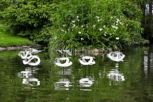 Johann Le Guillerm - Attraction, jardin des plantes, cirque, grand prix national du cirque, équilibre, forme, points de vue, mouvements, impermanence, objets, spectacle, sculptures, performance, espace public, practicien des points de vues, Nantes - 2019