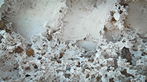 NATURE ab intestat, Pascal Jounier Trémelo, artiste plasticien, documentaire art contemporain, sculpture, moule, Paillard Patrice