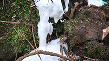 NATURE ab intestat, Pascal Jounier Trémelo, artiste plasticien, documentaire art contemporain, sculpture, moule, Paillard Patrice